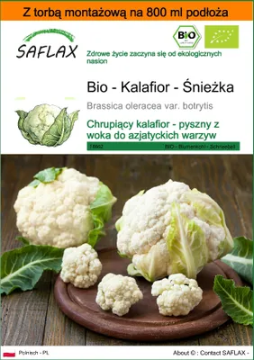 Zdjęcie produktu dla SAFLAX - Garden in the bag - Bio - Kalafior - Śnieżka - 70 Nasiona - Z podłożem uprawowym w praktycznej, samorozkładającej się torbie - Brassica oleracea var. botrytis