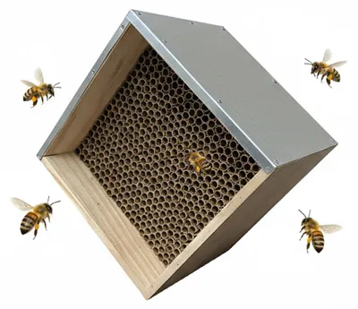 Produktbild von Wildbienenhotel Insektenhotel zum Aufhängen - Naturholz - 31,5 x 31,5 x 20 cm - Mit Kartonröhrchen - Für Garten und Balkon