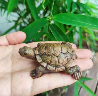 Schildkrötenfigur aus Kunstharz, 6,5 cm, Garten-Deko
