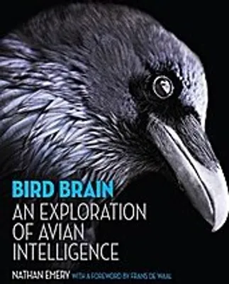 Produktbild von Bird Brain