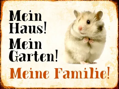 Produktbild von vianmo Holzschild 30x40 cm Tiere Hamster mein Haus Garten Familie