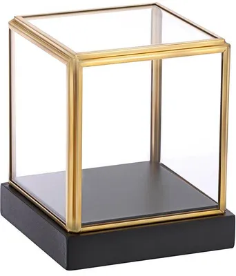 Produktbild von Gläserne Vitrine mit goldenem Rahmen und schwarzer Holzunterlage für Sammlerstücke