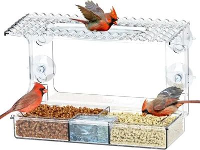 Produktbild von Vogelfutterstation mit Saugnäpfen, 2-in-1, transparent, für Balkon
