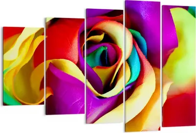 Produktbild von Bild auf Leinwand - Leinwandbild - Blume Farbe Rose - 150x100cm - Wand Bild - Wanddeko - Leinwanddruck - Bilder - Kunstdruck - Wanddekoration - Leinwand bilder - Wandkunst - EG150x100-3623