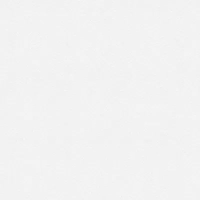 Produktbild von A.S. Création Vliestapete Meistervlies Pro Protect 2, weiss, überstreichbar, 25,00 m x 1,06 m, 245915, 2459-15
