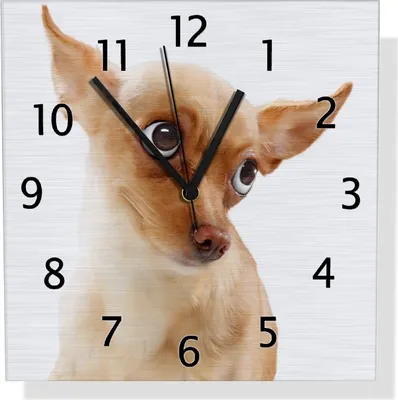Produktbild von Wallario Design Wanduhr Lustiger Hund mit fliegenden Ohren aus Aluverbund, Größe 30 x 30 cm