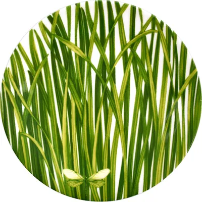 Immagine prodotto di Taitù - Vita in verde - Piatto piano 17 cm