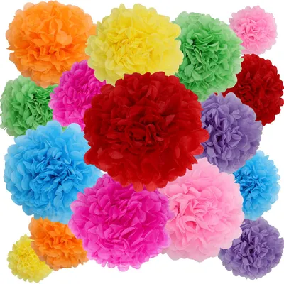 Productafbeelding van 16 Stuks Kleurrijke Seidenpapier Pompoms voor Decoratie