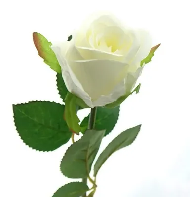 Produktbild von GASPER Rosenblüte Weiß 45 cm - Kunstblumen