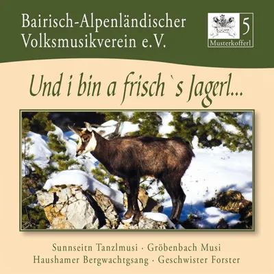 Produktbild von Bairisch-Alpenländischer Volksmusikverein e. V.: Musterkoffe
