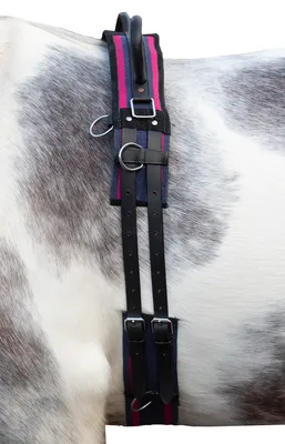 Image de HKM Sangle de longe avec double poignée Canvas Navy/ Passion Pink Minishetty