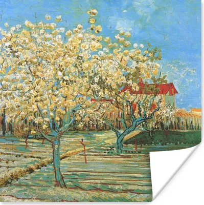 Produktbild von MuchoWow® Poster Blühender Obstgarten - Vincent van Gogh 50x50 cm - Wohnzimmerdekoration