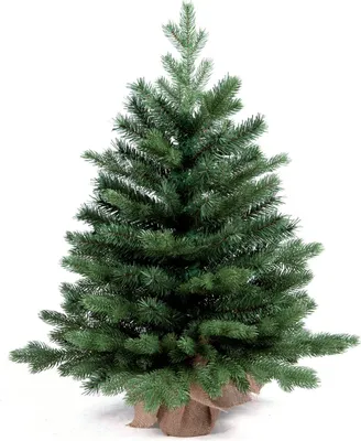 Produktbild von Künstlicher Weihnachtsbaum Bernard in Blumentopf 60cm