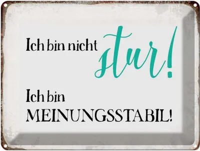Produktbild von vianmo Blechschild 30x40 cm bin nicht stur meinungsstabil Spruch Zitat