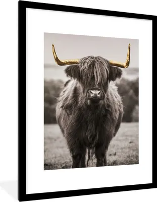 Produktbild von MuchoWow® Gerahmtes Poster Schottischer Highlander - Horn - Gold 60x80 cm - Poster mit Schwarzem Bilderrahmen Wandposter Rahmen Foto Bilder - Wohnzimmer - Dekorationen - Prämie