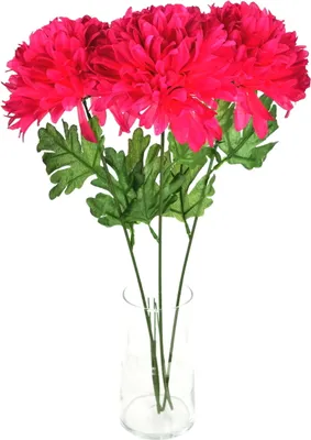 Obrázok produktu pre Chryzantéma bordová Ø17cm/65 cm - 3 ks