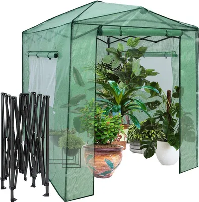 Productafbeelding van Draagbare opklapbare kas. Loopkas voor de tuin, 180 x 250 x 230 cm, groen
