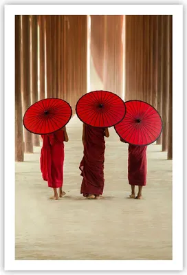 Produktbild von Poster - Poster ohne Rahmen - Bhutan Regenschirm Rot - 61x91,5 cm - Wand Bild - Wanddeko - Wandbilder - Kunstposter - Wandposter - Bilder - Kunstdruck - Wanddekoration - Wandbild - P2XPA61x91-4290