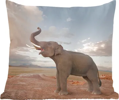 Produktbild von MuchoWow® Zierkissen Sofakissen Wohnzimmer Dekokissen 40x40 cm Elefant - Hügel - Wolke - Foto Kissen - Schlafzimmer Dekoration