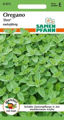 Produktbild von Oregano | Oreganosamen von Samen Pfann