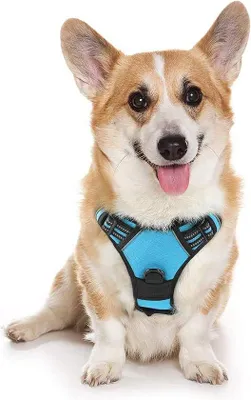 Produktbild von Famanu Hundegeschirr, reflektierend und atmungsaktiv - Verstellbar für kleine, mittelgroße und große Hunde