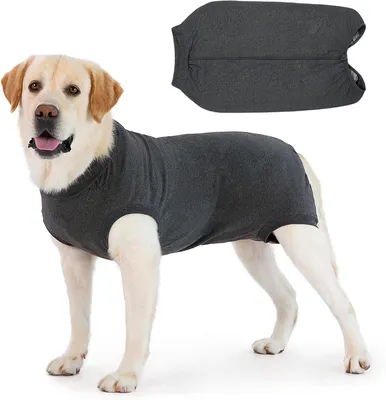 Imagen del producto de Abrigo para perros - Algodón - Transpirable