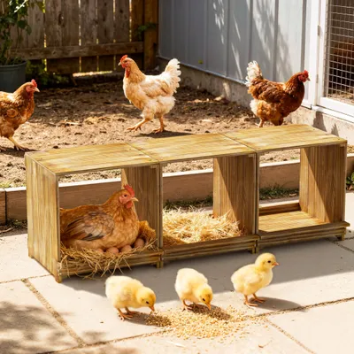 Imagen del producto de Jaula para gallinas ponedoras de tres compartimentos, ideal para criar polluelos, con bebedero y comedero, fabricada en madera de pino (105x30x36 cm)
