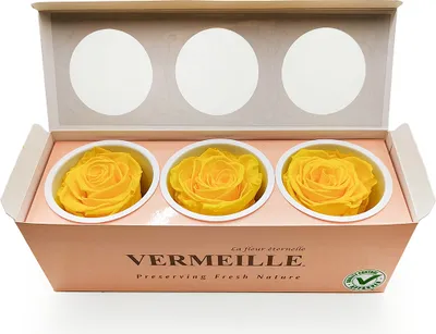 Produktbild von Stabilisierte Rose - Kanariengelb - XL - 3 Stk