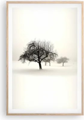 Produktbild von Gerahmtes Poster - Rahmen in heller Eiche - Bäume Schnee Nebel - 61x91,5 cm - Wand Bild - Wanddeko - Wandbilder - Wandposter - Bilderrahmen - Bilder - Kunstdruck - Wandbild - P2NPA61x91-4136