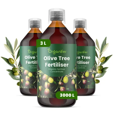 Obrázok produktu pre Olivovník, tekuté hnojivo 3x1 L – vzorec NPK 2-1-8 – pre olivovníky – podporuje stabilný a zdravý rast – organické hnojivo