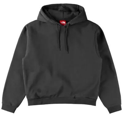 Image de Sweat à capuche The North Face NF0A8EFZ0SA1 pour Homme