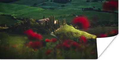 Produktbild von MuchoWow® Poster Toskana - Mohnblumen - Italien 120x60 cm - Bild