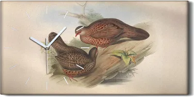 Produktbild von Wanduhr Bürouhr Leinwand Bild Geräuschlos 60x30 Vögel Wild Tiere Zeichnung Kunst - weiße Hände