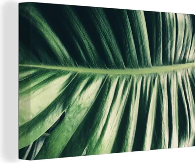 Produktbild von OneMillionCanvasses® - Leinwandbilder - 150x100 cm, Blätter - Tropisch - Dschungel, Wandbilder Kunstdruck Wanddekoration - Foto auf Leinwand - Gemälde auf Holzrahmen