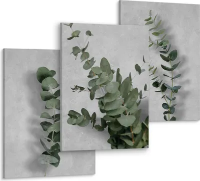 Obrázek produktu pro Muralo Sada obrazů pro ložnici Obývací pokoj EUKALIPTUS LEAVES 3D Betonové rostliny - 3 obrazy 30x40