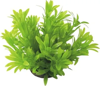 Produktbild von Kunststoff-Wasserpflanze Deluxe Small Nr. 16 12 cm