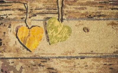 Produktbild von AKZENTE Coco Design Fußmatte WOOD HEARTS NATURE 45 x 75 cm