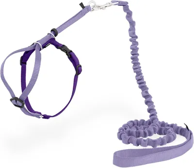 Zdjęcie produktu dla Szelki dla kota z obrożą - Bezpieczne spacery - Przygody na świeżym powietrzu - Wygodna kontrola - Obwód klatki piersiowej 23-28 cm - Czarny kolor