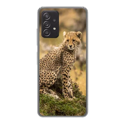 Produktbild von MuchoWow® Handyhülle Schutzhülle Hülle für Samsung galaxy a73 Leopard - Wald - Tier Silikon Softcase Handy Hülle - Handyhülle