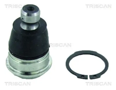 Produktbild von TRISCAN Traggelenk für NISSAN MICRA IV (K13) 8500 14552