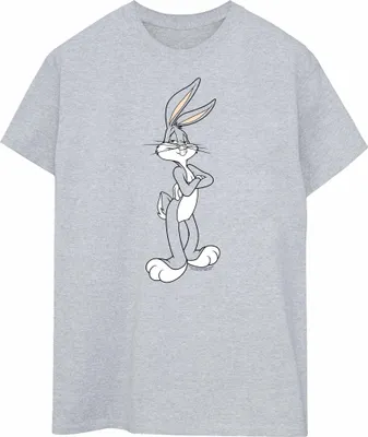 Produktbild von Looney Tunes - T-Shirt für Damen BI51872 (S) (Grau)