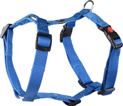 Produktbild von Flamingo Geschirr Ziggi blau, Größe: S / Breite: 15 mm