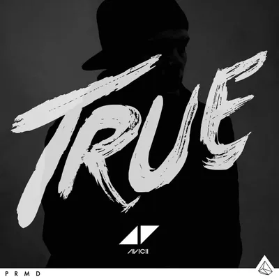 True LP Vinyl von Avicii – Pop, 1 LP, 2013