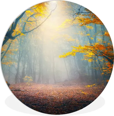 Produktbild von MuchoWow® Rundes Wandbild - Runde Bilder Wald - Nebel - Herbst Ø 60 cm Kreis Wanddekoration Kunststoff - Wandkreis - Wandschmuck - Wand Kreis - Das Schlafzimmer - Die Bilder - Wandmalerei - Kunst für das Haus - das Plastik