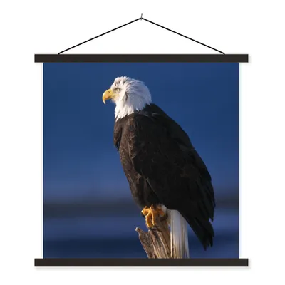 Produktbild von MuchoWow® Textilposter Adler - Nahaufnahme - Zweig 90x90 cm mit schwarzem Rahmen - Magnetisches