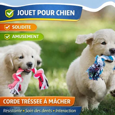 Image de Jouet en Corde pour Chien – Taille 26 × 2 cm
