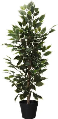 Obrázek produktu pro Umělá rostlina v květináči, 95 cm