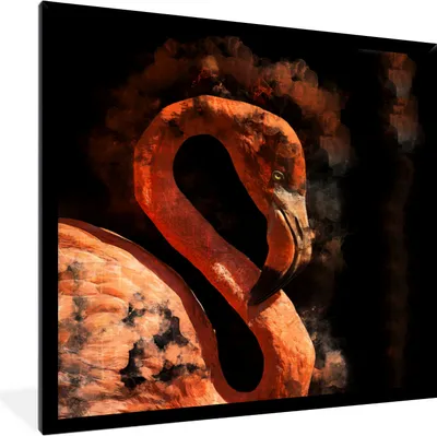 Produktbild von MuchoWow® MuchoWow® Gerahmtes Poster Flamingo - Farbe - Vogel 40x40 cm - Poster mit zchwarzem Bilderrahmen - Mit Rahmen - Wanddekoration Schlafzimmer