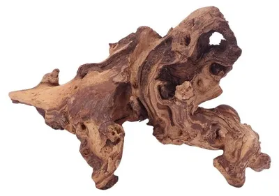 Produktbild von L Mopani Wurzel Nr.4708 Holz Deko Aquascaping