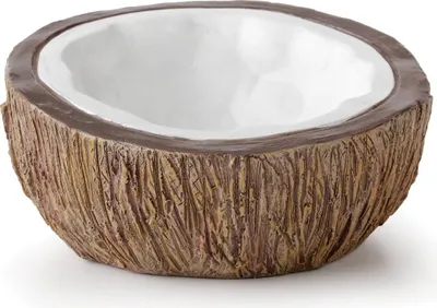 Produktbild von Exo Terra Tiki Kokosnuss Wassernapf
